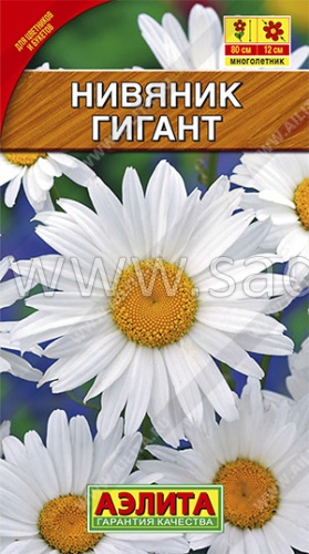 Нивяник Гигант крупноцветковый М *0,5г