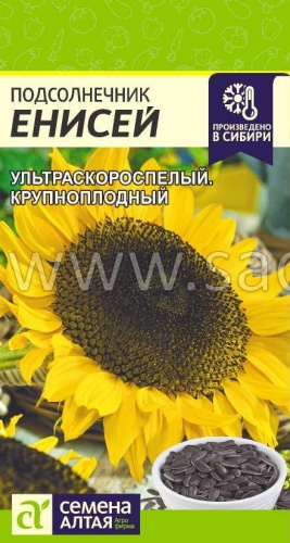 Подсолнечник Енисей/Сем Алт/цп 10 гр.