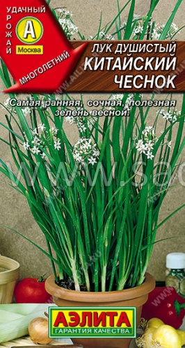Лук душистый Китайский чеснок *0,3г